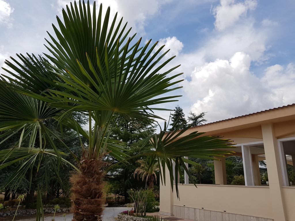 Villa Venus Woods Мартина-Франка Экстерьер фото